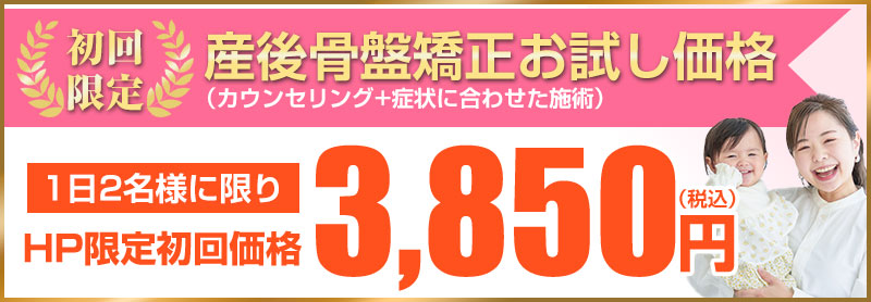 初回価格3,850円