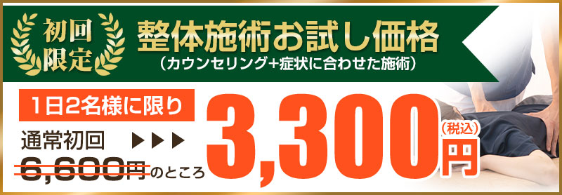 初回価格3,300円