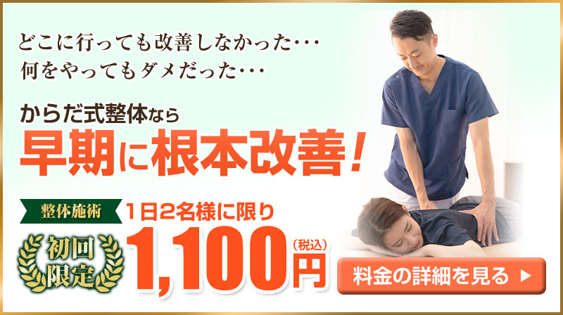 初回価格1 ,100円